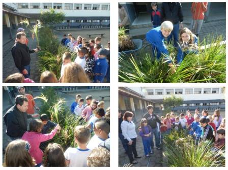 EEB Altamiro Guimarães - Antonio Carlos alunos plantando peq
